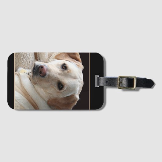 Yellow Labrador Retriever Bagagelabel (Voorkant (horizontaal))