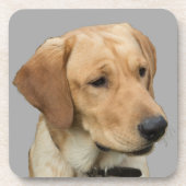 Yellow Labrador Retriever Bier Onderzetter (Voorkant)