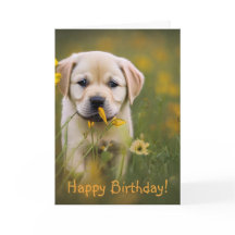 Yellow Labrador Retriever Birthday Kaart