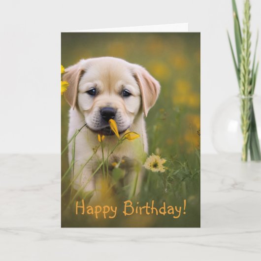 Yellow Labrador Retriever Birthday Kaart (Voorkant)