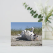 Yellow Labrador Retriever Briefkaart (Staand voorkant)