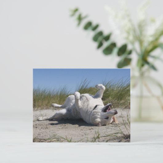 Yellow Labrador Retriever Briefkaart (Staand voorkant)