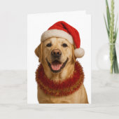 Yellow Labrador Retriever Christmas card Kaart (Voorkant)