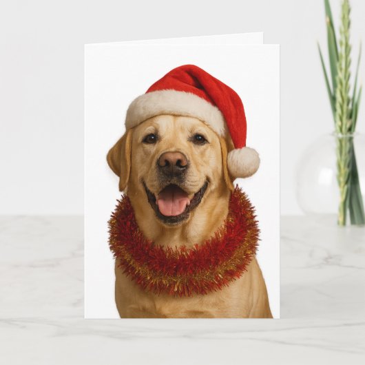 Yellow Labrador Retriever Christmas card Kaart (Voorkant)