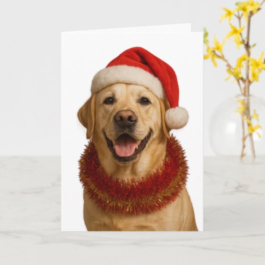 Yellow Labrador Retriever Christmas card Kaart (Gele Bloem)