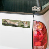 Yellow Labrador Retriever collage Bumpersticker (Op Truck)