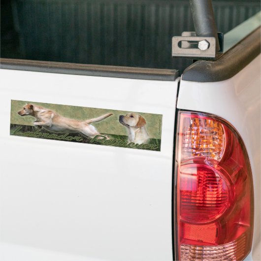 Yellow Labrador Retriever collage Bumpersticker (Op Truck)
