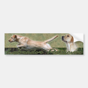 Yellow Labrador Retriever collage Bumpersticker