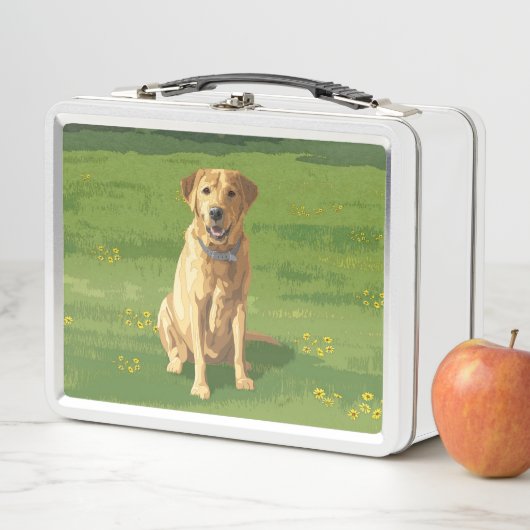 Yellow Labrador Retriever Dog (In situ)