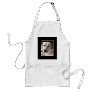 Yellow Labrador Retriever Dog foto op Apron Standaard Schort