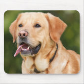 Yellow Labrador Retriever Dog - Lab Muismat (Voorkant)