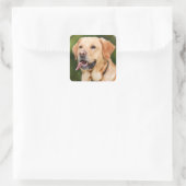 Yellow Labrador Retriever Dog - Lab Vierkante Sticker (Tas)