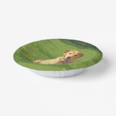 Yellow Labrador Retriever Dog Papieren Kommen (Gebogen)