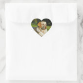 Yellow Labrador Retriever Hart Sticker (Tas)
