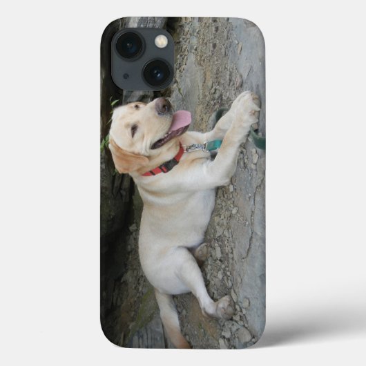 Yellow Labrador Retriever iPhone 8 Hoesje (Achterkant)