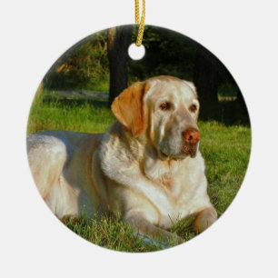 Yellow Labrador Retriever Keramisch Ornament