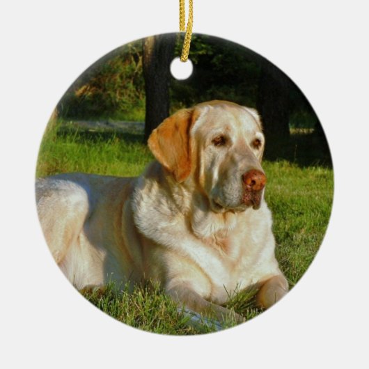 Yellow Labrador Retriever Keramisch Ornament (Voorkant)