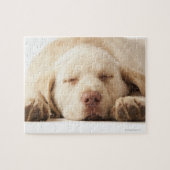 Yellow Labrador Retriever Legpuzzel (Horizontaal)
