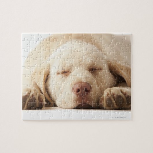 Yellow Labrador Retriever Legpuzzel (Horizontaal)