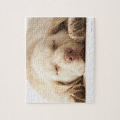Yellow Labrador Retriever Legpuzzel (Verticaal)