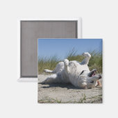 Yellow Labrador Retriever Magneet (Voorkant / Achterkant)