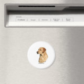 Yellow Labrador Retriever Magneet (Insitu (Vaatwasser))