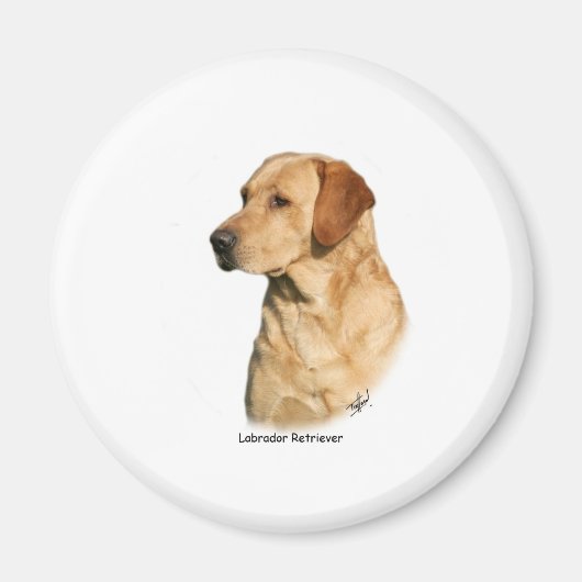 Yellow Labrador Retriever Magneet (Voorkant)