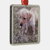 Yellow Labrador Retriever Metalen Ornament (Rechts)