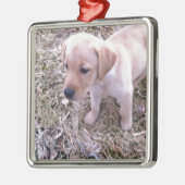 Yellow Labrador Retriever Metalen Ornament (Links)