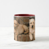 Yellow Labrador Retriever Mok (Midden)