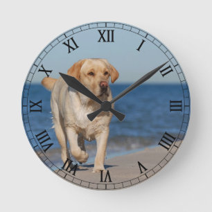 Yellow labrador retriever on the beach ronde klok
