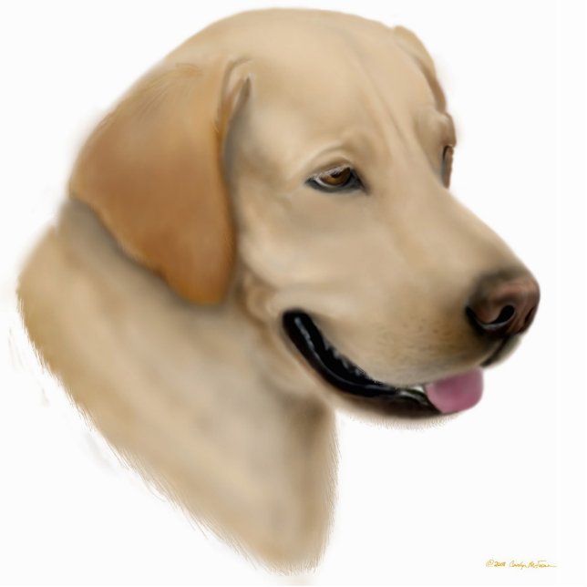 Yellow Labrador Retriever Ornament Fotobeeldje Ornament (Voorkant)