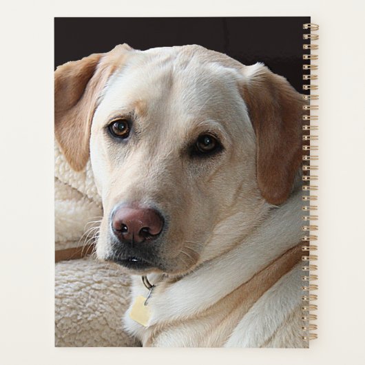 Yellow Labrador Retriever Planner (Achterkant)
