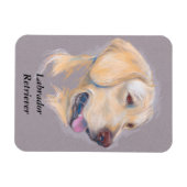 Yellow Labrador Retriever portret Magneet (Horizontaal)
