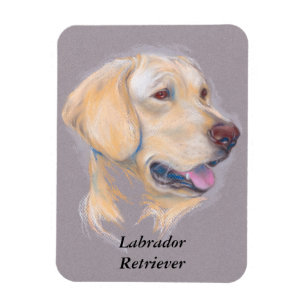 Yellow Labrador Retriever portret Magneet