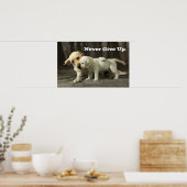 Yellow Labrador Retriever Poster (Keuken)
