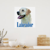 Yellow Labrador Retriever-Poster Poster (Keuken)
