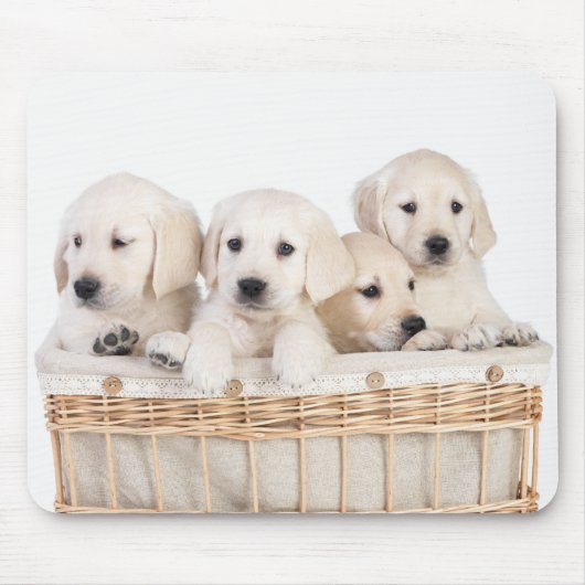Yellow Labrador Retriever Puppies Mousepad Muismat (Voorkant)