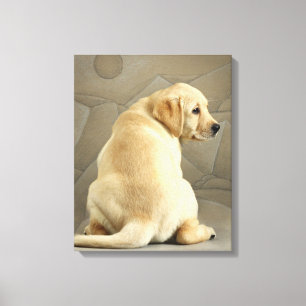 Yellow Labrador Retriever Puppy Canvas Afdruk
