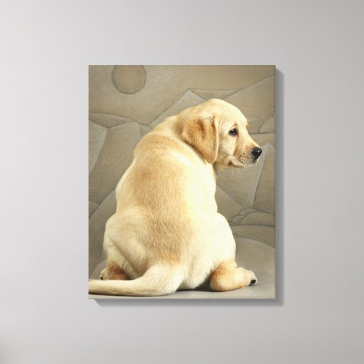 Yellow Labrador Retriever Puppy Canvas Afdruk (Voorkant)