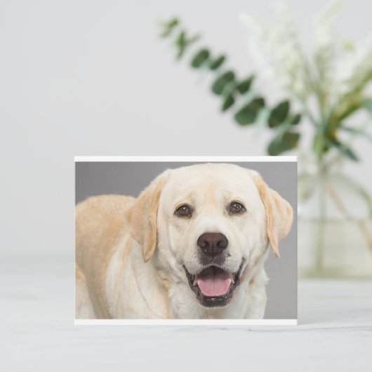 Yellow Labrador Retriever Puppy Dog Blank Briefkaa Briefkaart (Staand voorkant)