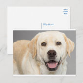 Yellow Labrador Retriever Puppy Dog Blank Briefkaa Briefkaart (Voorkant / Achterkant)