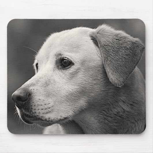 Yellow Labrador Retriever Puppy Dog Mousepad Muismat (Voorkant)