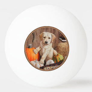 Yellow Labrador Retriever Puppy Dog Pumpkin Autumn Pingpongbal
