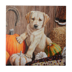 Yellow Labrador Retriever Puppy Dog Pumpkin Autumn Tegeltje