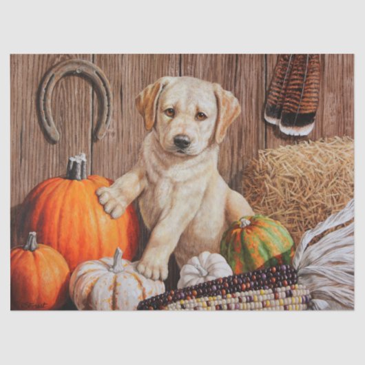 Yellow Labrador Retriever Puppy Dog Pumpkin Autumn Tissuepapier (Voorkant)