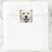 Yellow Labrador Retriever Puppy Dog Sticker (Tas)