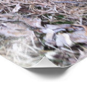 Yellow Labrador Retriever Puppy Photo Print Foto Afdruk (Hoek)