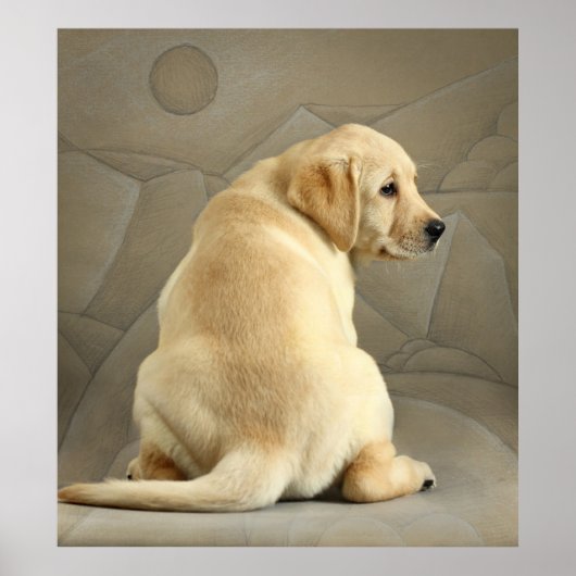 Yellow Labrador Retriever Puppy Poster (Voorkant)