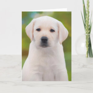 Yellow Labrador Retriever Puppy Wenskaarten Kaart